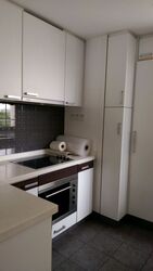 The Levelz (D10), Condominium #540194371